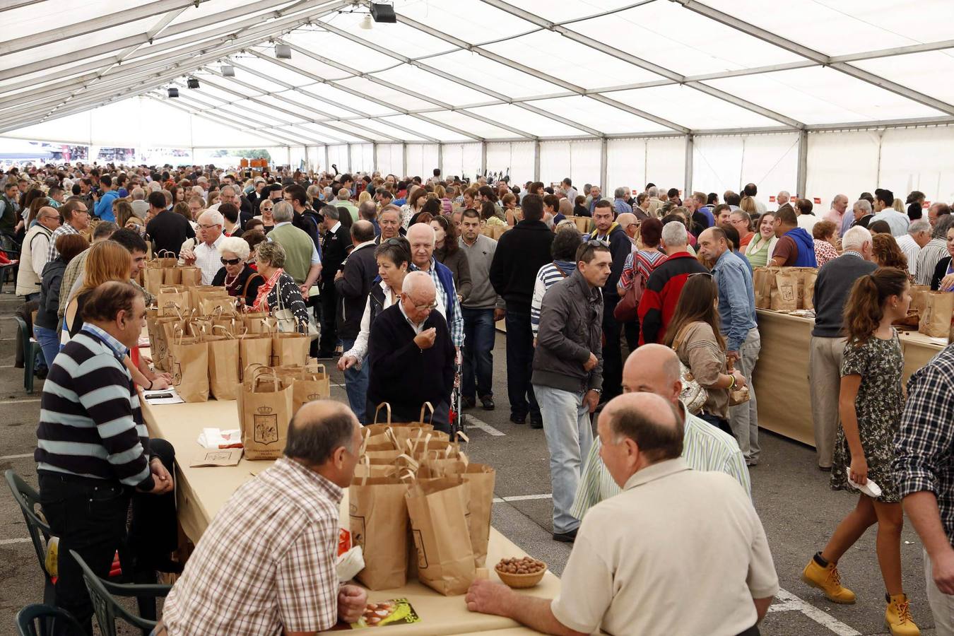 Infiesto celebra el festival de la avellana