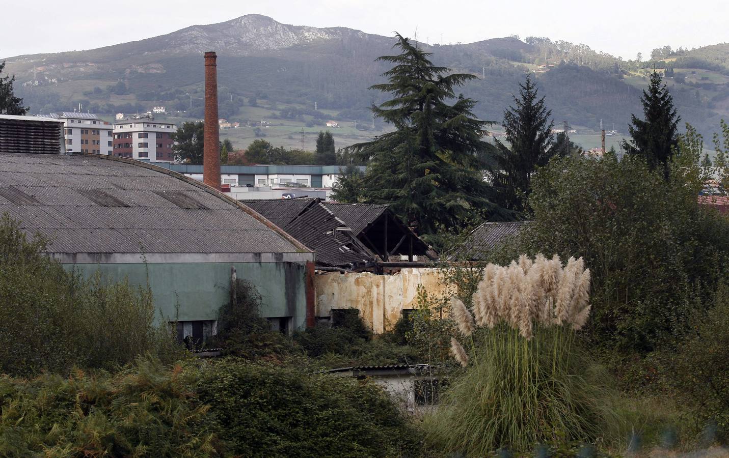 El desolador estado de la fábrica de loza de San Claudio