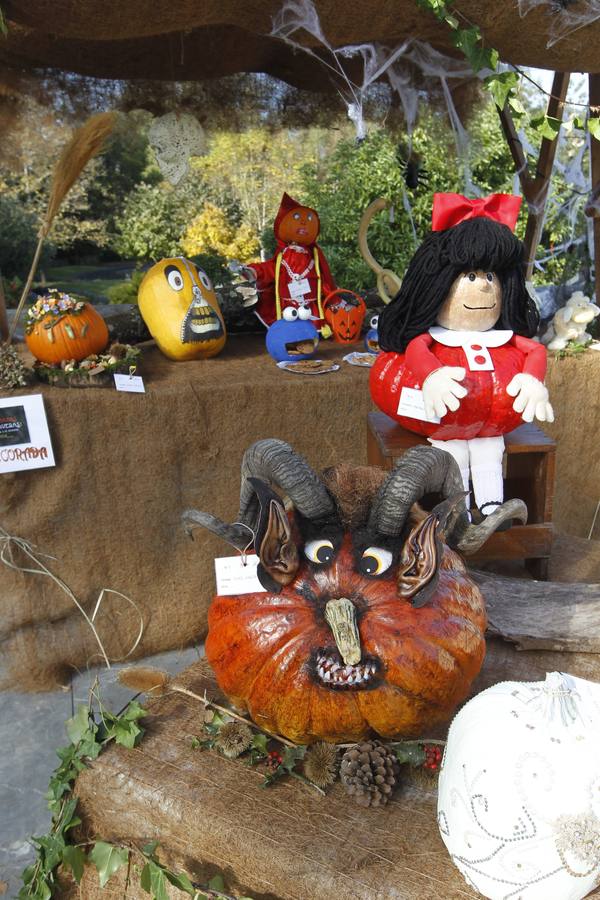 Calabazas en el Botánico