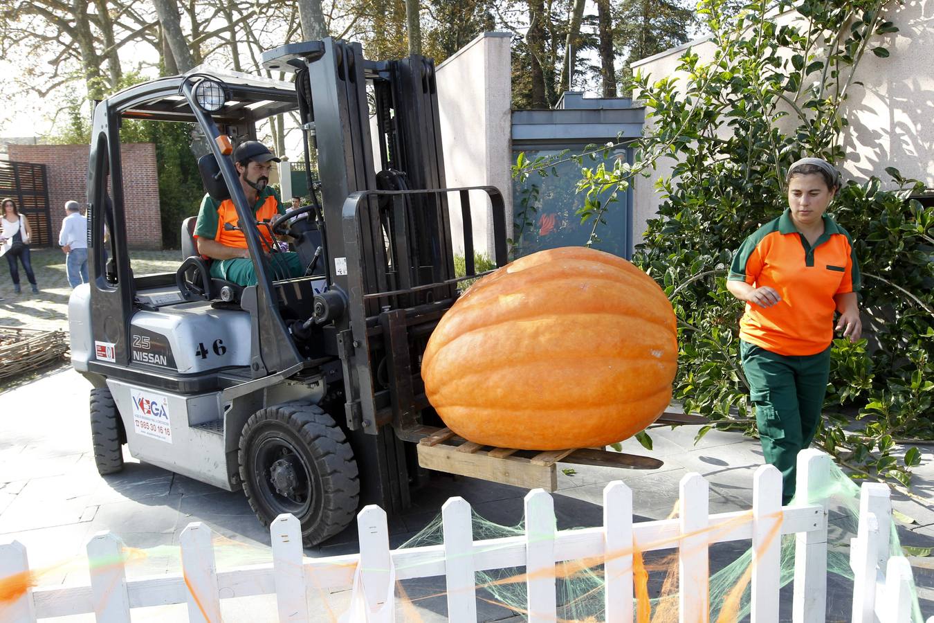 Calabazas en el Botánico