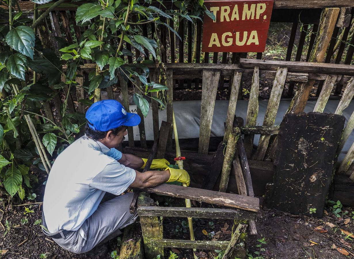 En los secaderos de café en Nicaragua