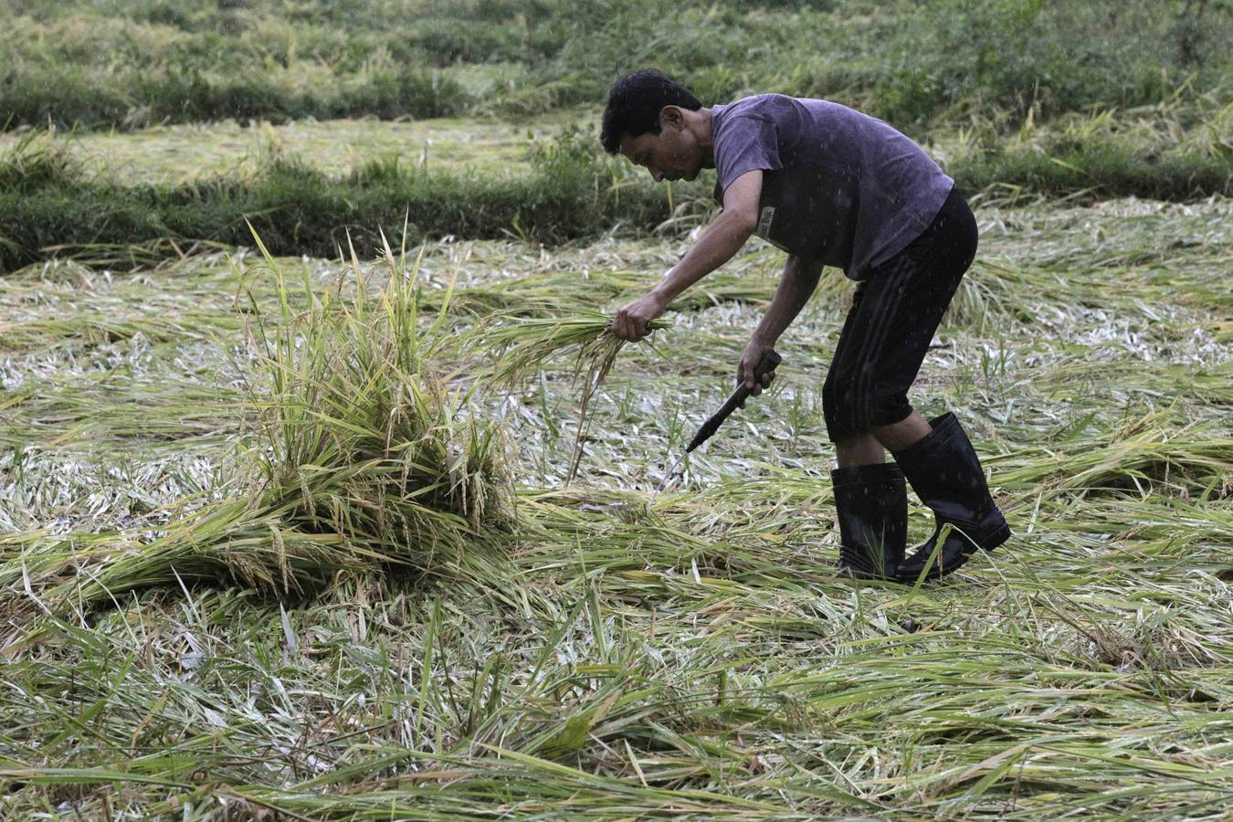 El tifón Hagupit deja 27 muertos y miles de desplazados en Filipinas