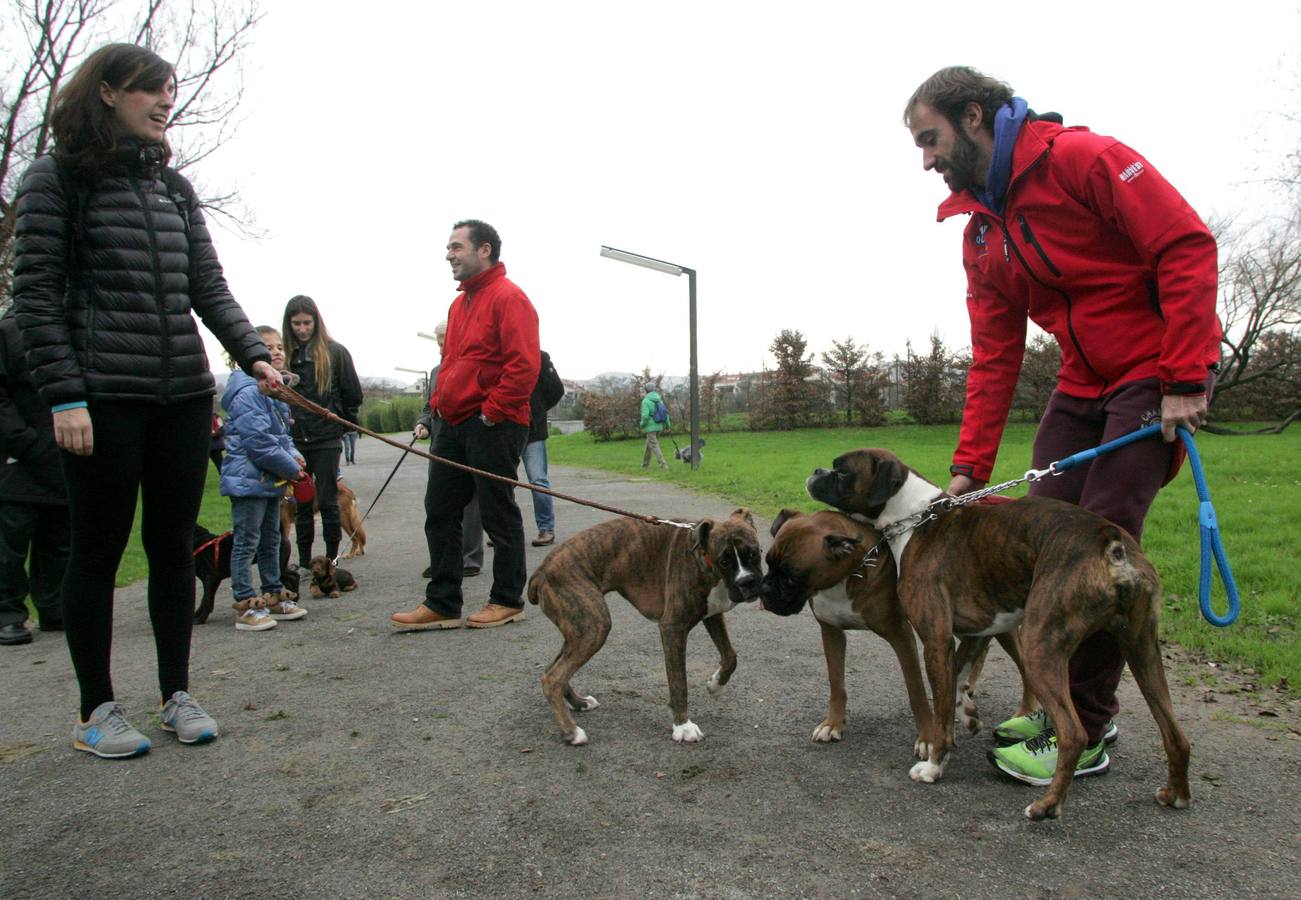 La San Silvestre de los perros