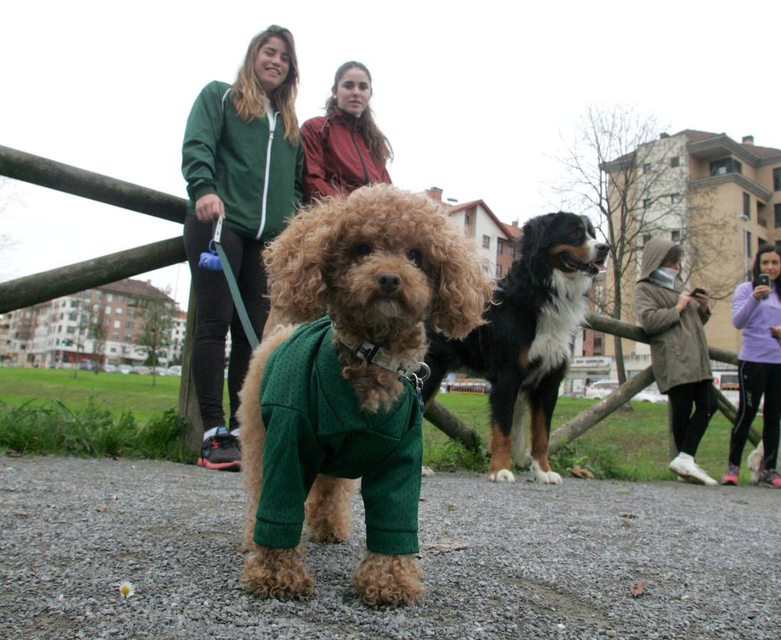 La San Silvestre de los perros