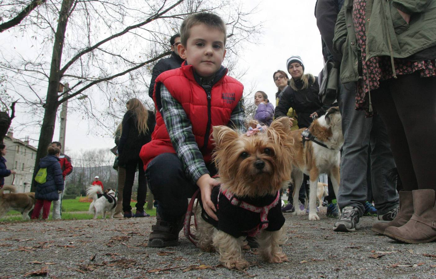 La San Silvestre de los perros