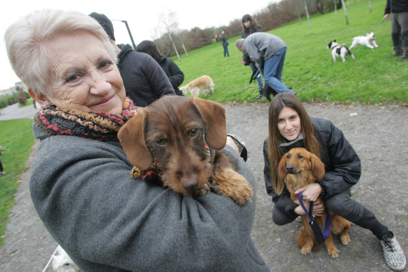 La San Silvestre de los perros