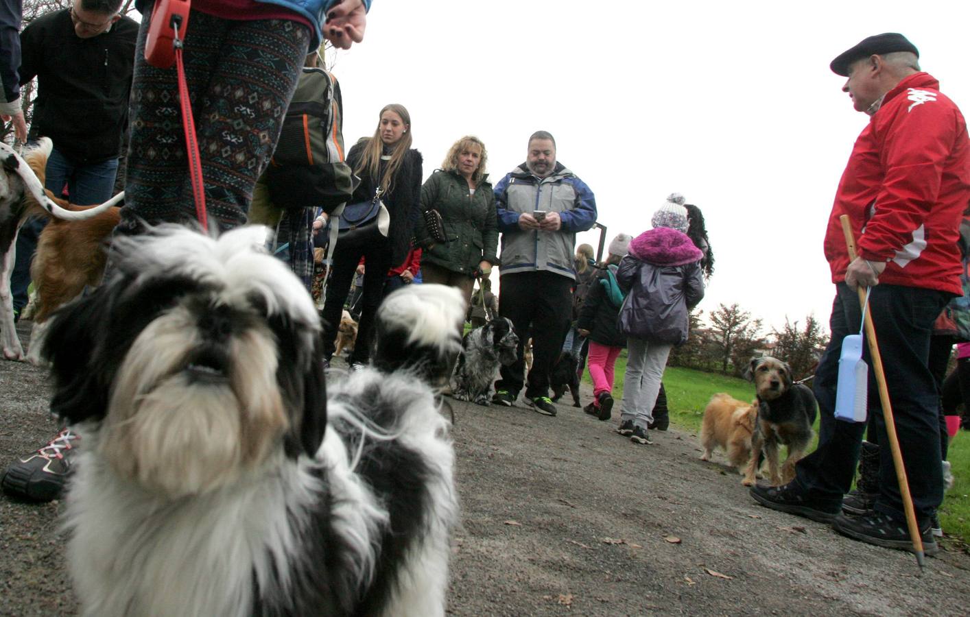 La San Silvestre de los perros