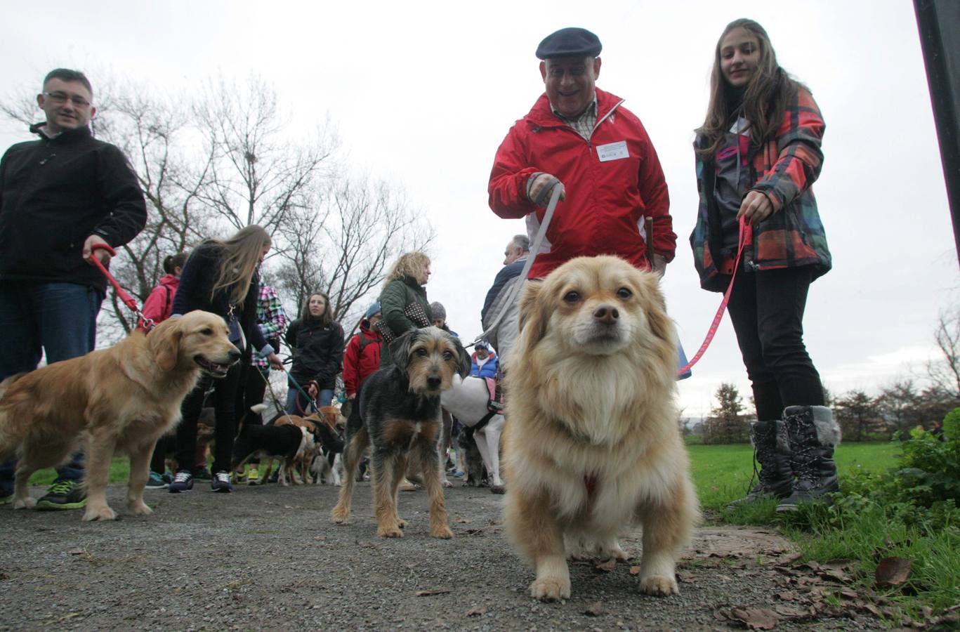 La San Silvestre de los perros