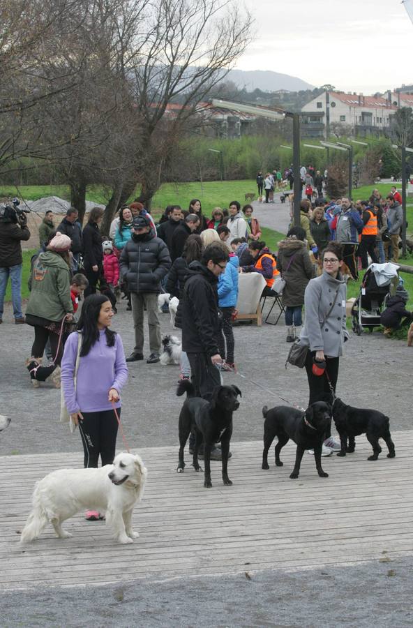 La San Silvestre de los perros