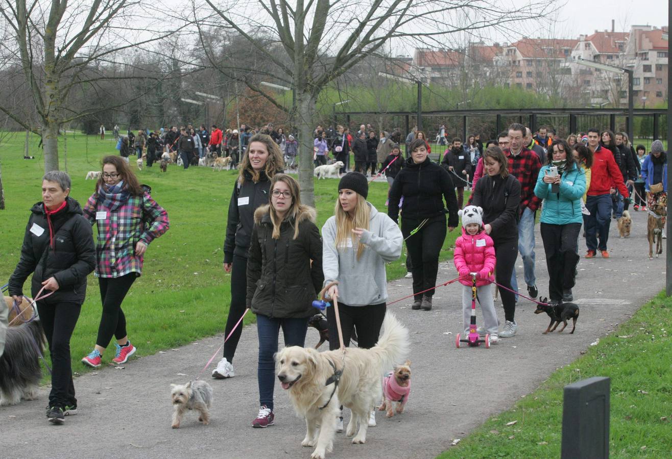 La San Silvestre de los perros