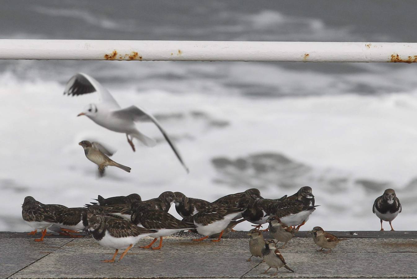 Asturias, en alerta por viento y nevadas