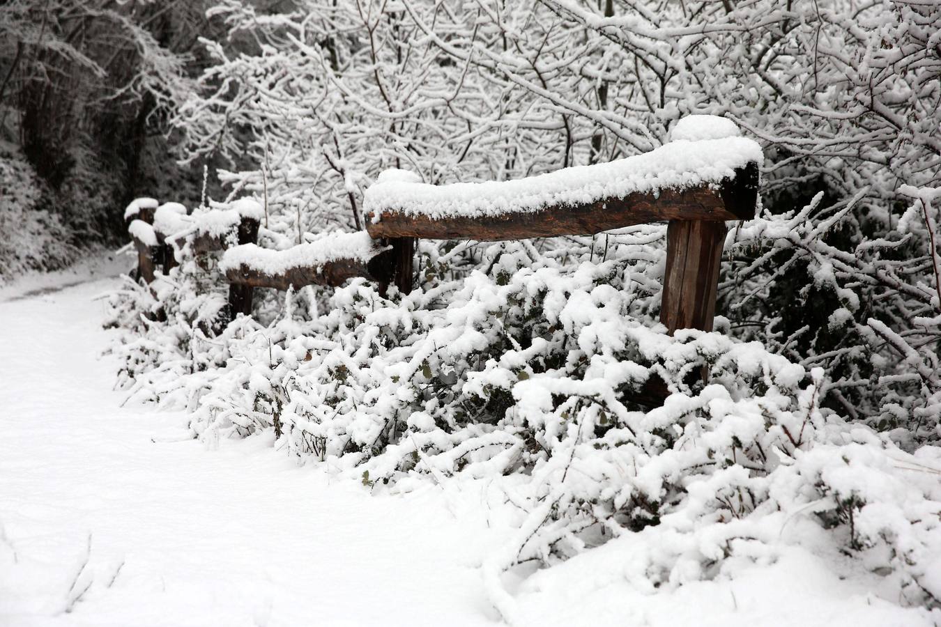 Asturias, en alerta por viento y nevadas