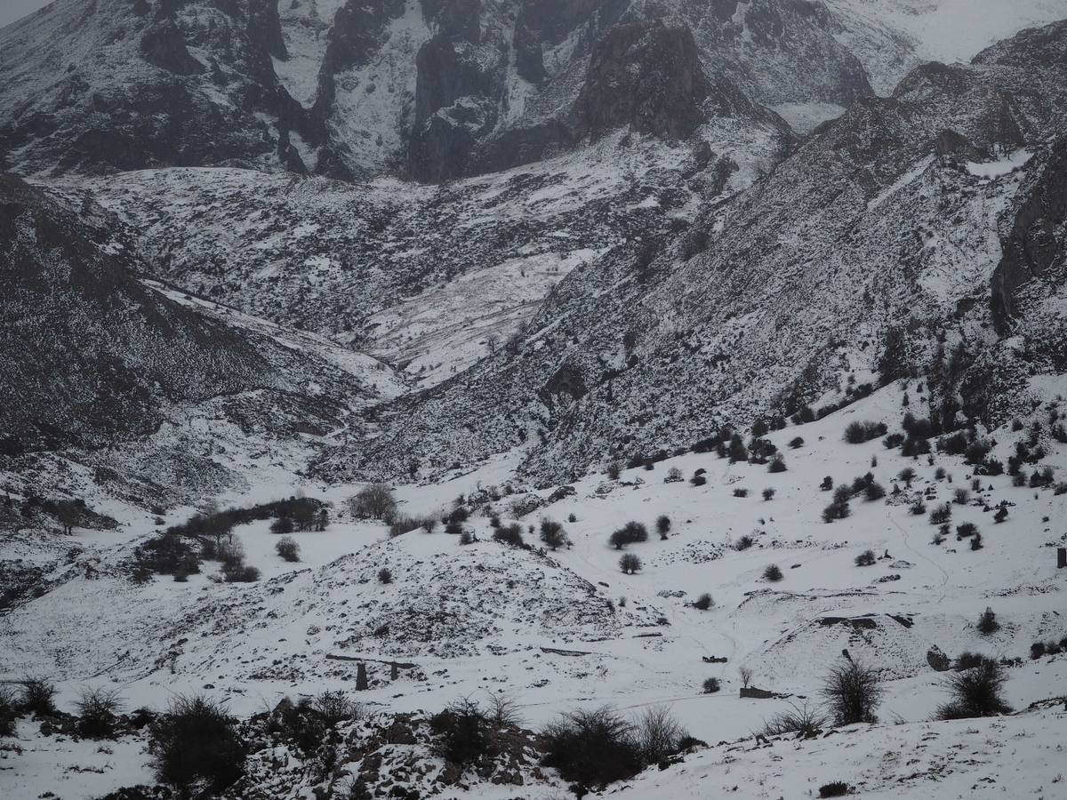 La nieve en Los Lagos