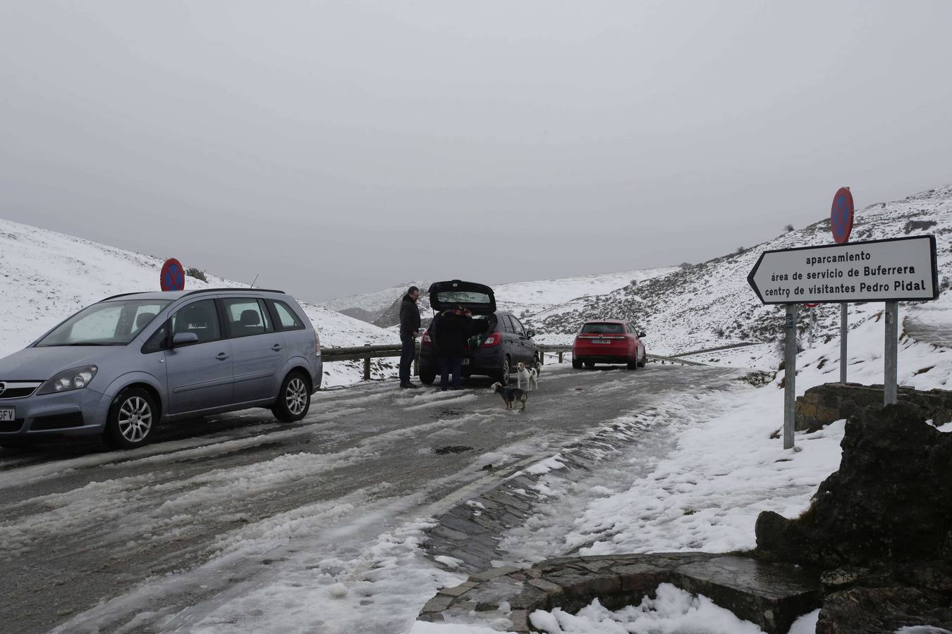 La nieve en Los Lagos