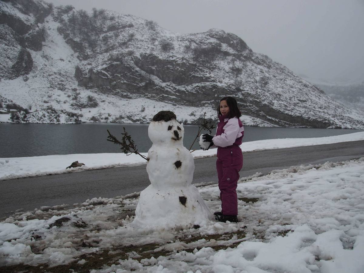 La nieve en Los Lagos