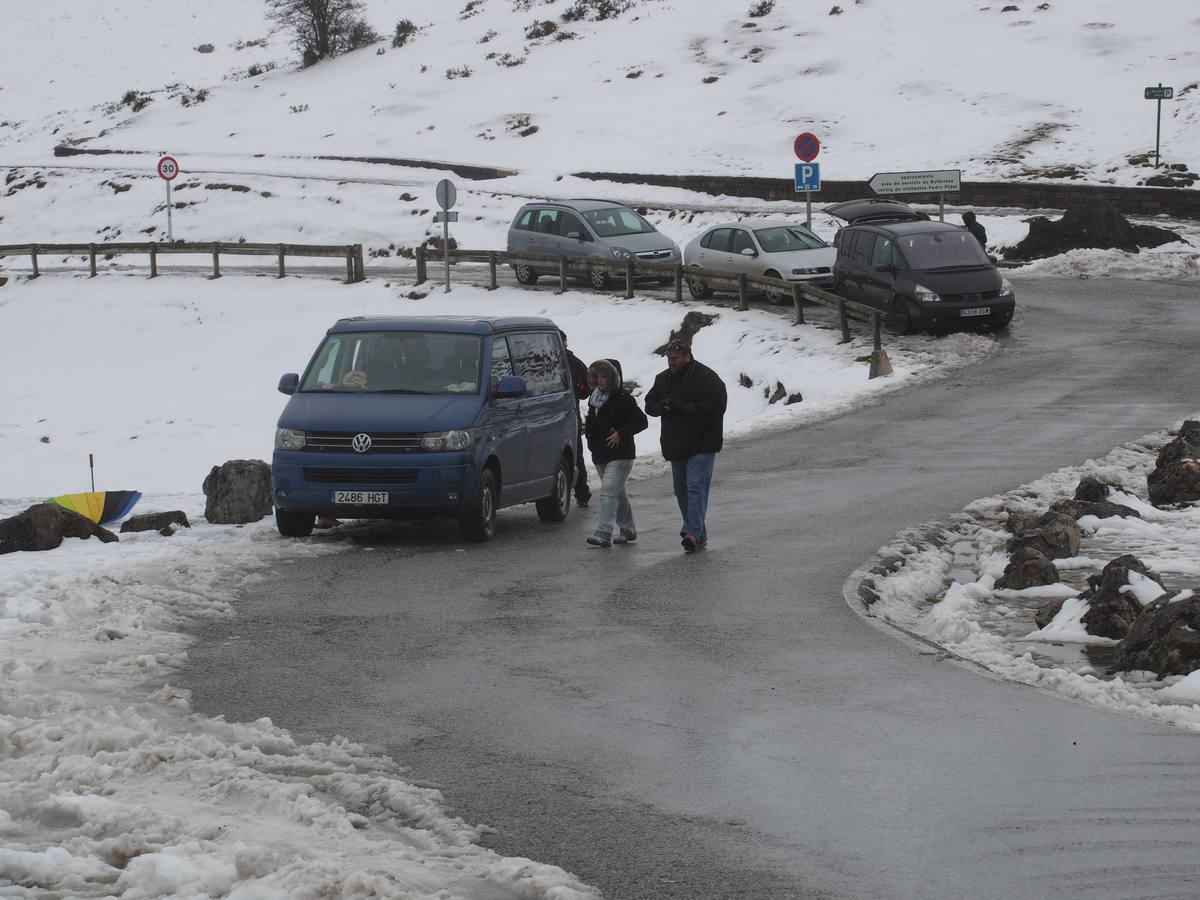 La nieve en Los Lagos