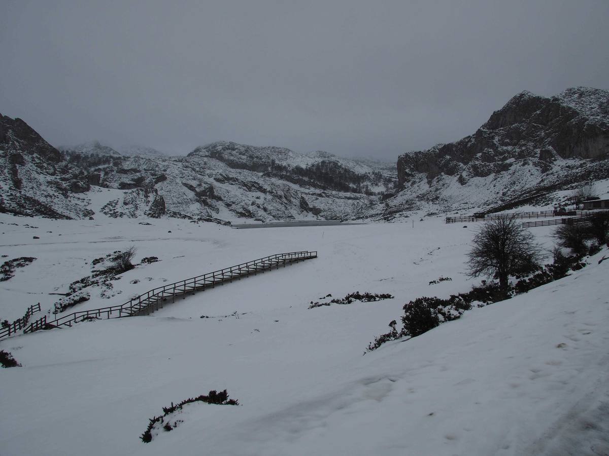 La nieve en Los Lagos