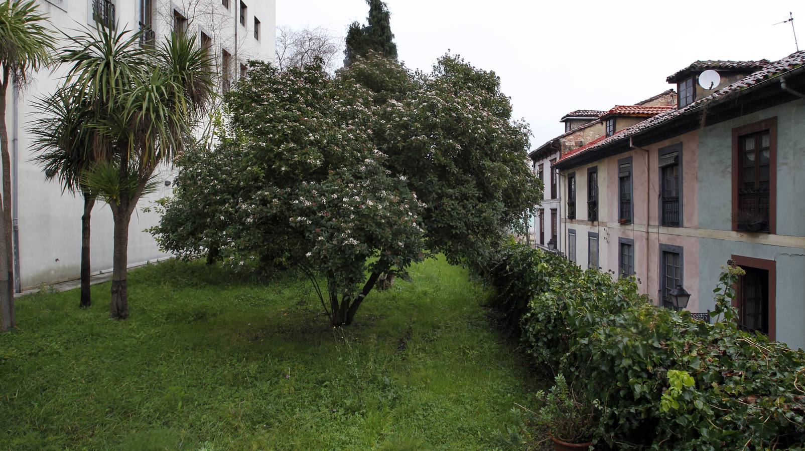 El Conservatorio. La parte de detrás del centro de música ubicado en la Corrada del Obispo conserva un pequeño jardín ubicado sobre la muralla que discurre a lo largo de la calle Paraíso.