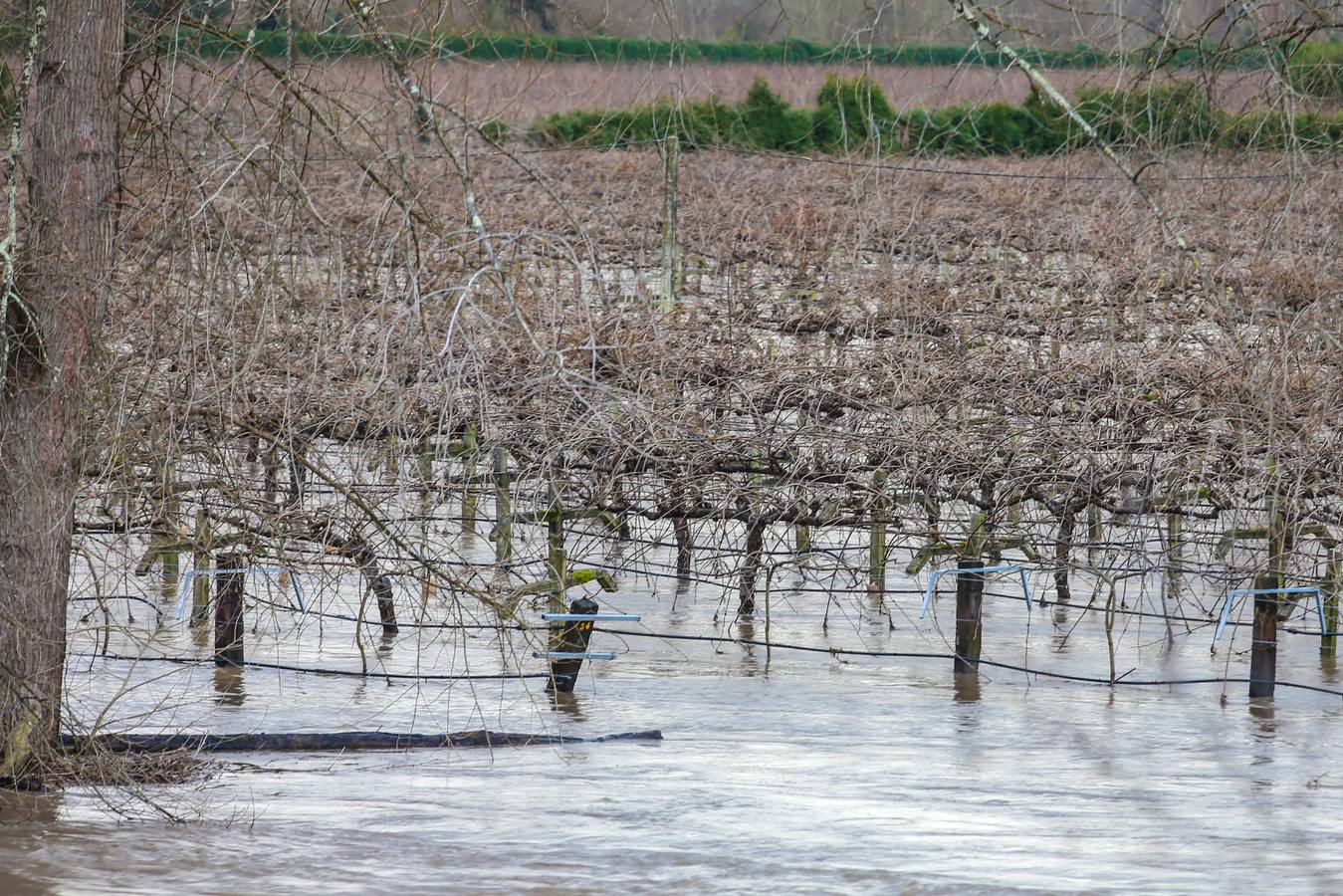La amenazante desembocadura del río Nalón