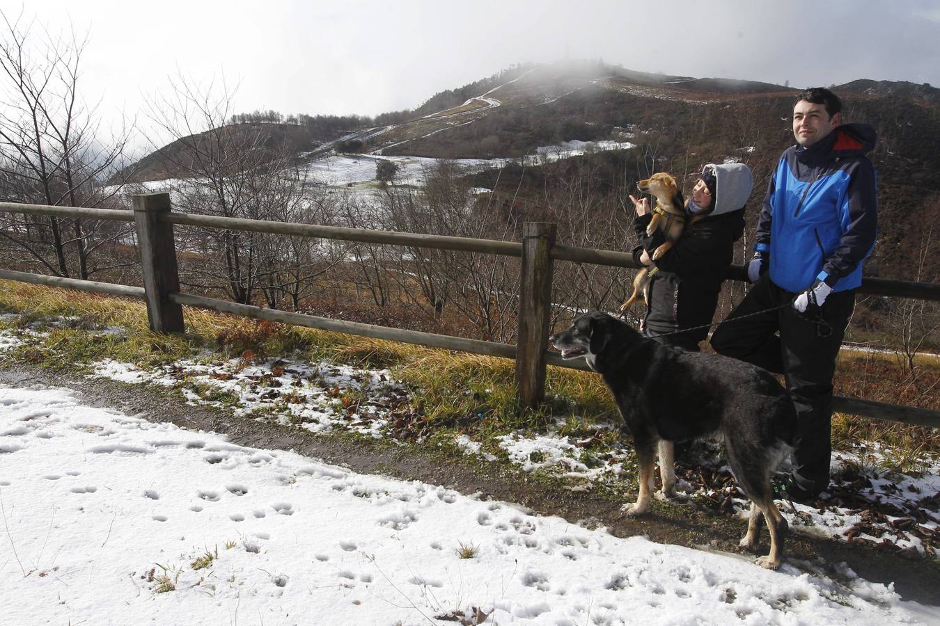 Caen los primeros copos en Oviedo