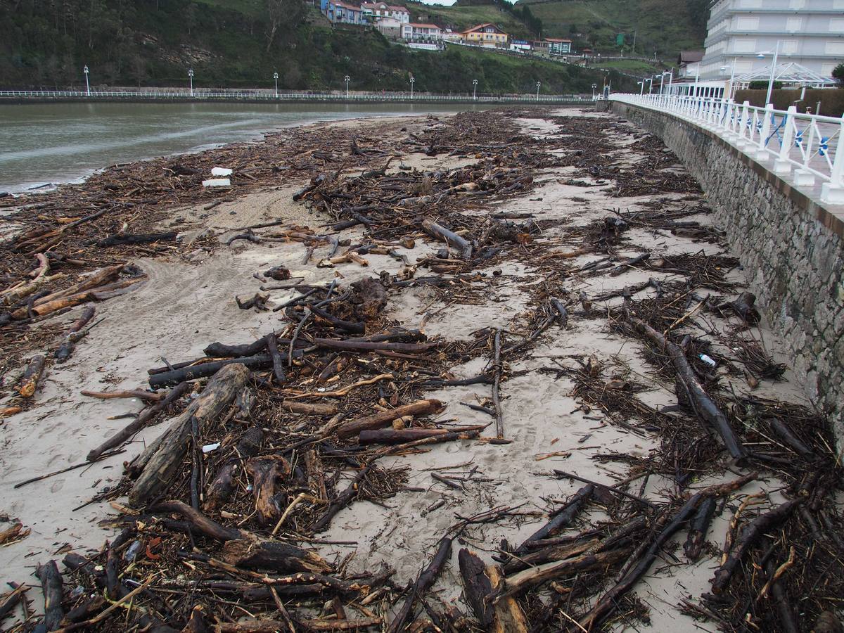 El mar arrastró rastrojos a la orilla de la playa de Santa Marina, en Ribadesella.