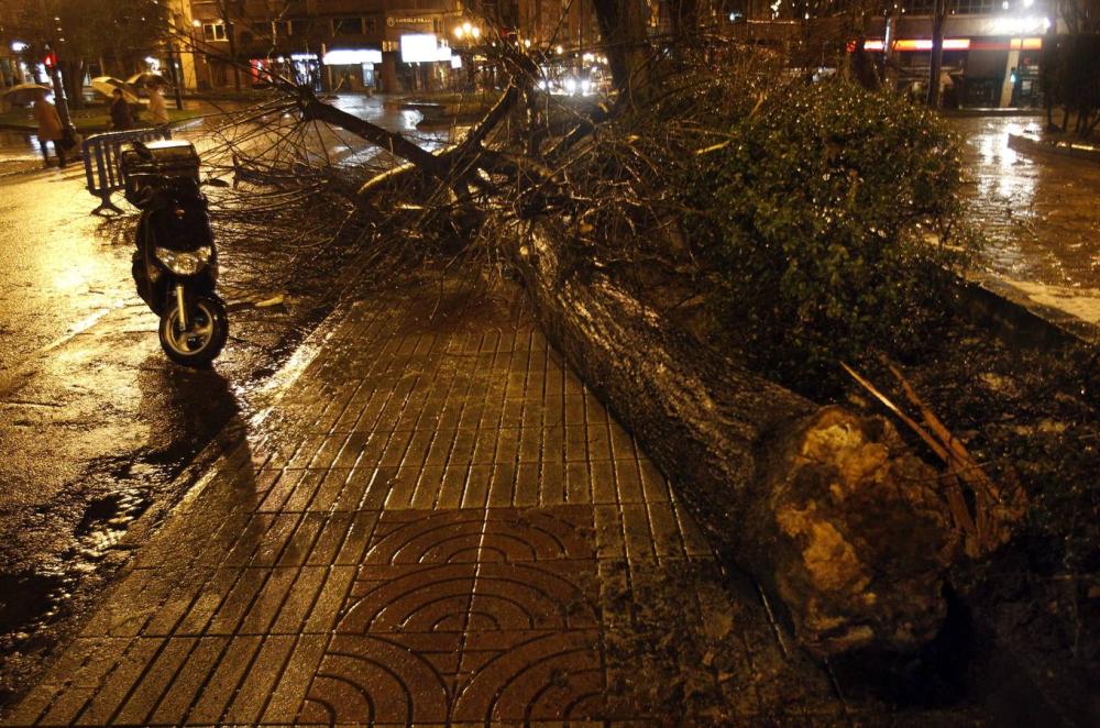 Árbol caído por culpa del fuerte viento en Oviedo.