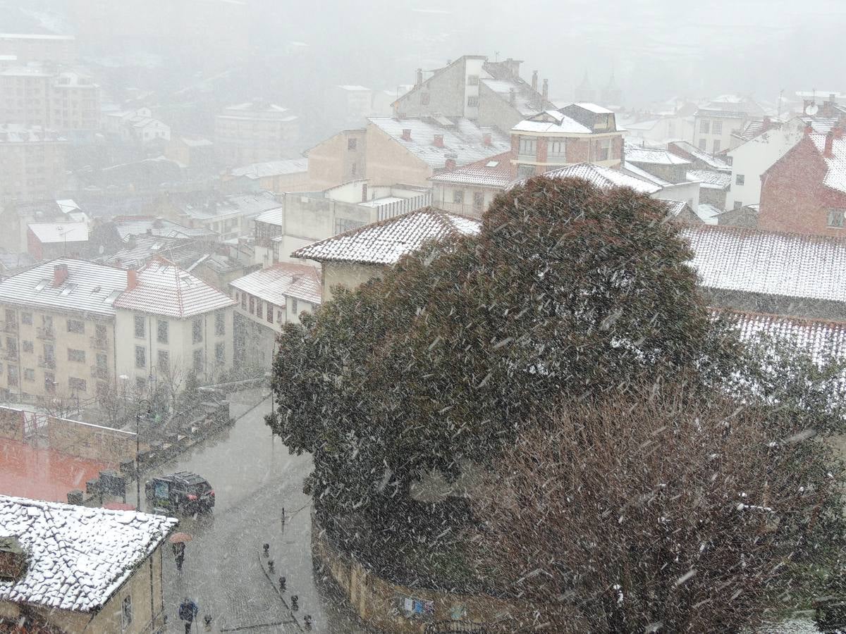 Cangas del Narcea