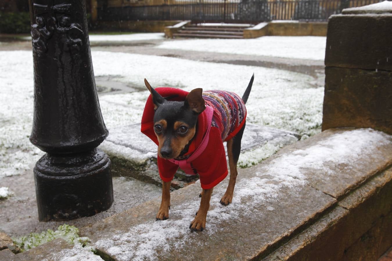 La nieve cubre en Oviedo