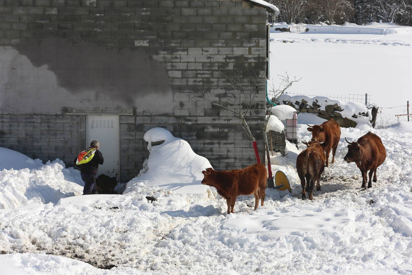 Así quedó Degaña tras las nevadas