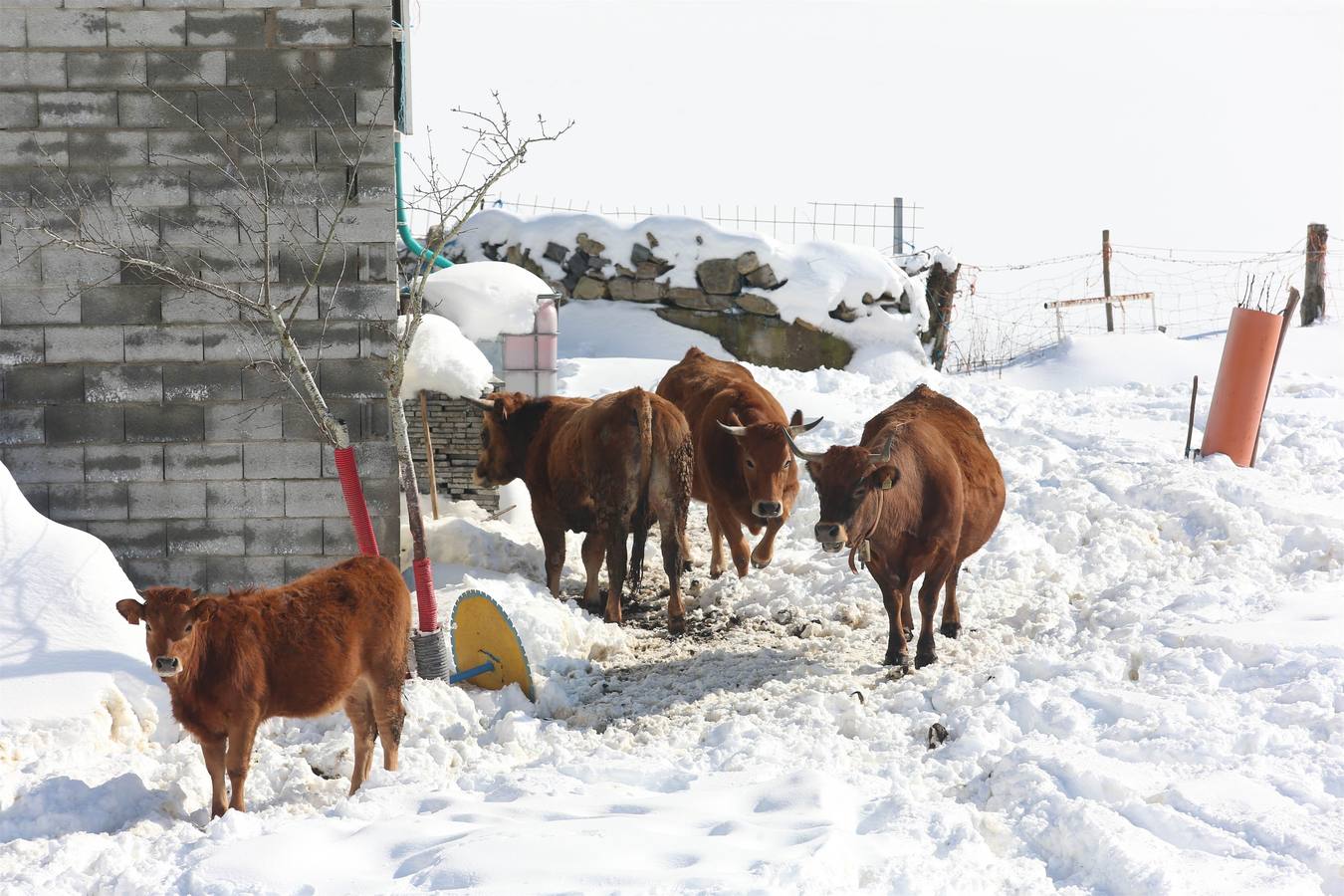 Así quedó Degaña tras las nevadas