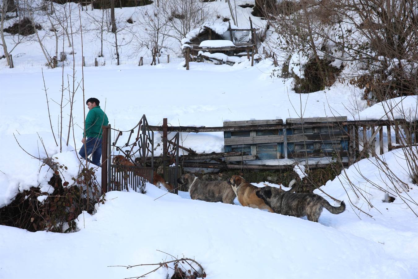 Así quedó Degaña tras las nevadas