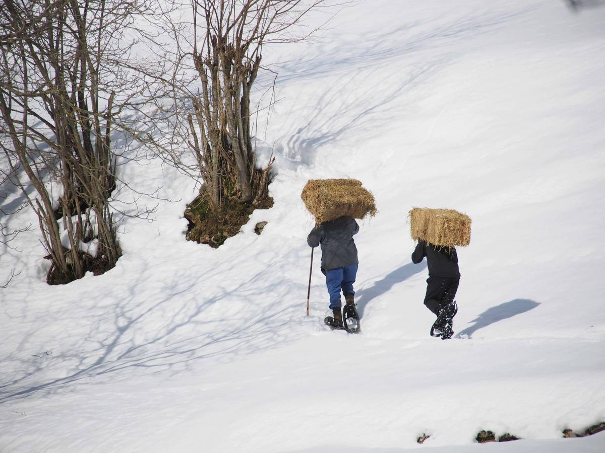 La dura vida en la nieve