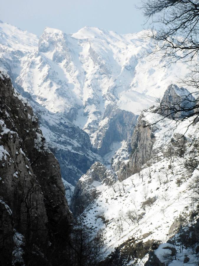 La dura vida en la nieve