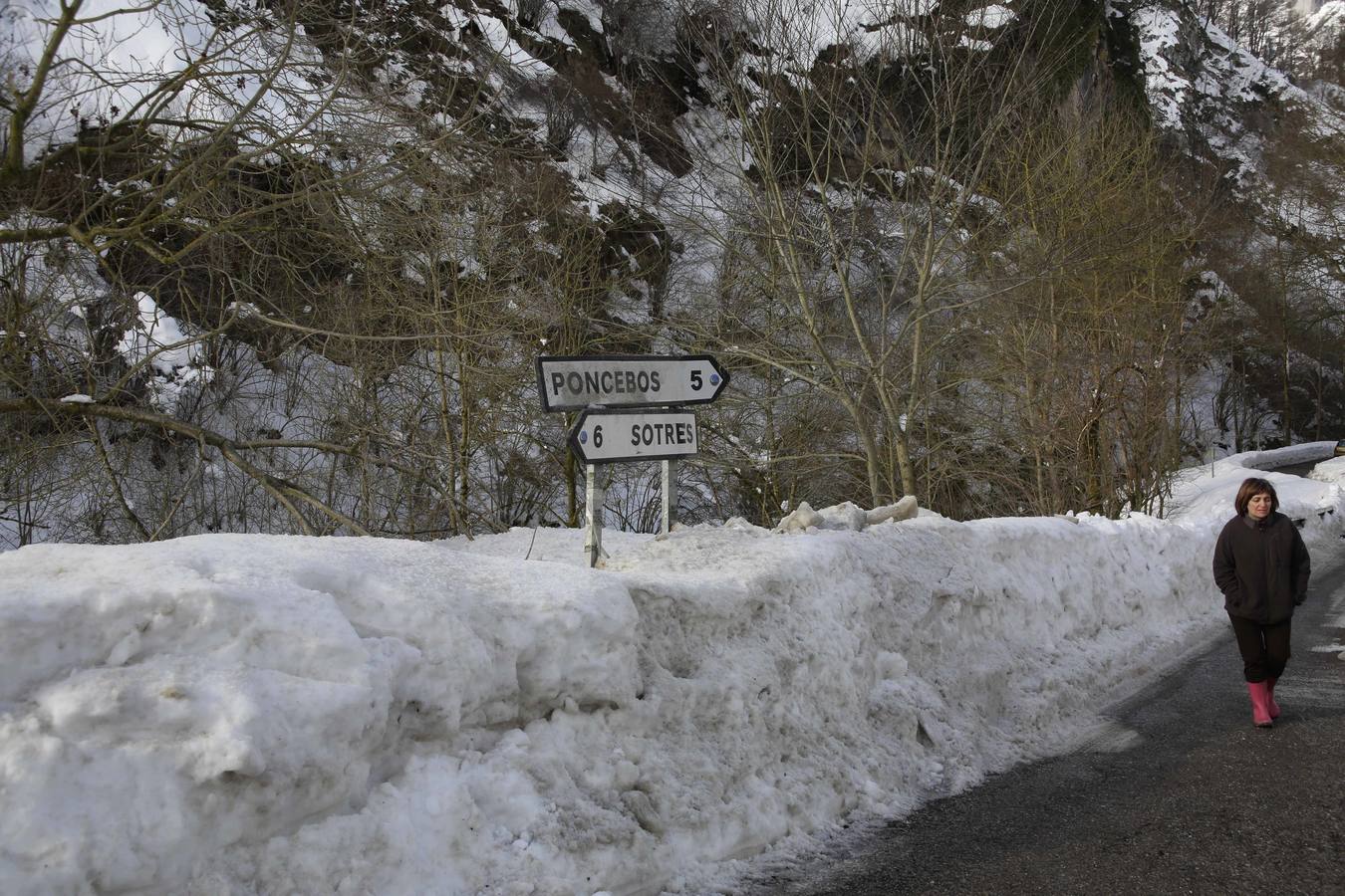 La dura vida en la nieve