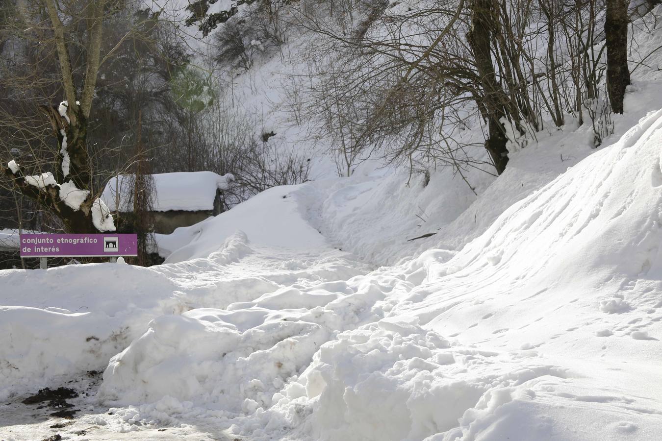 La dura vida en la nieve