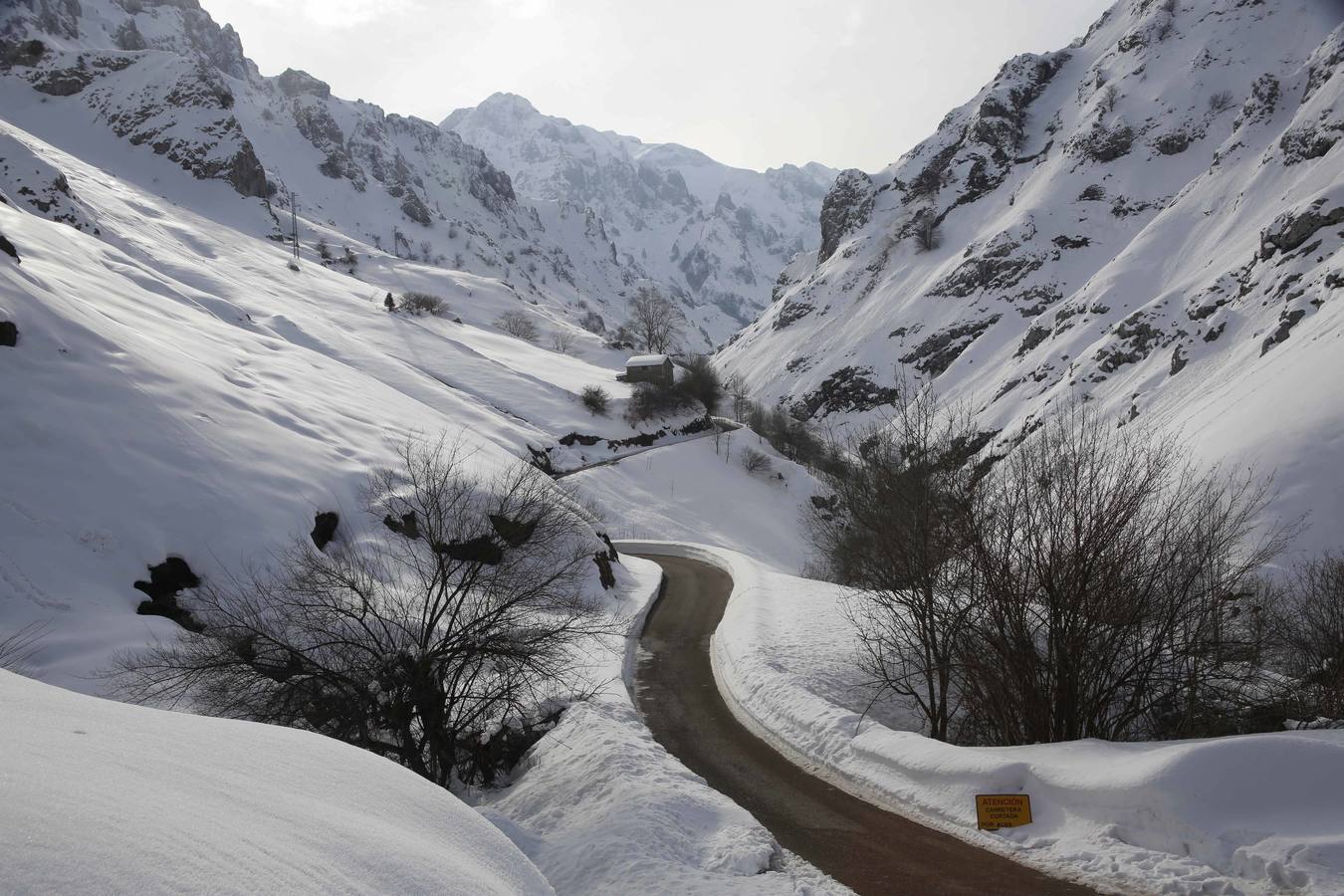 La dura vida en la nieve