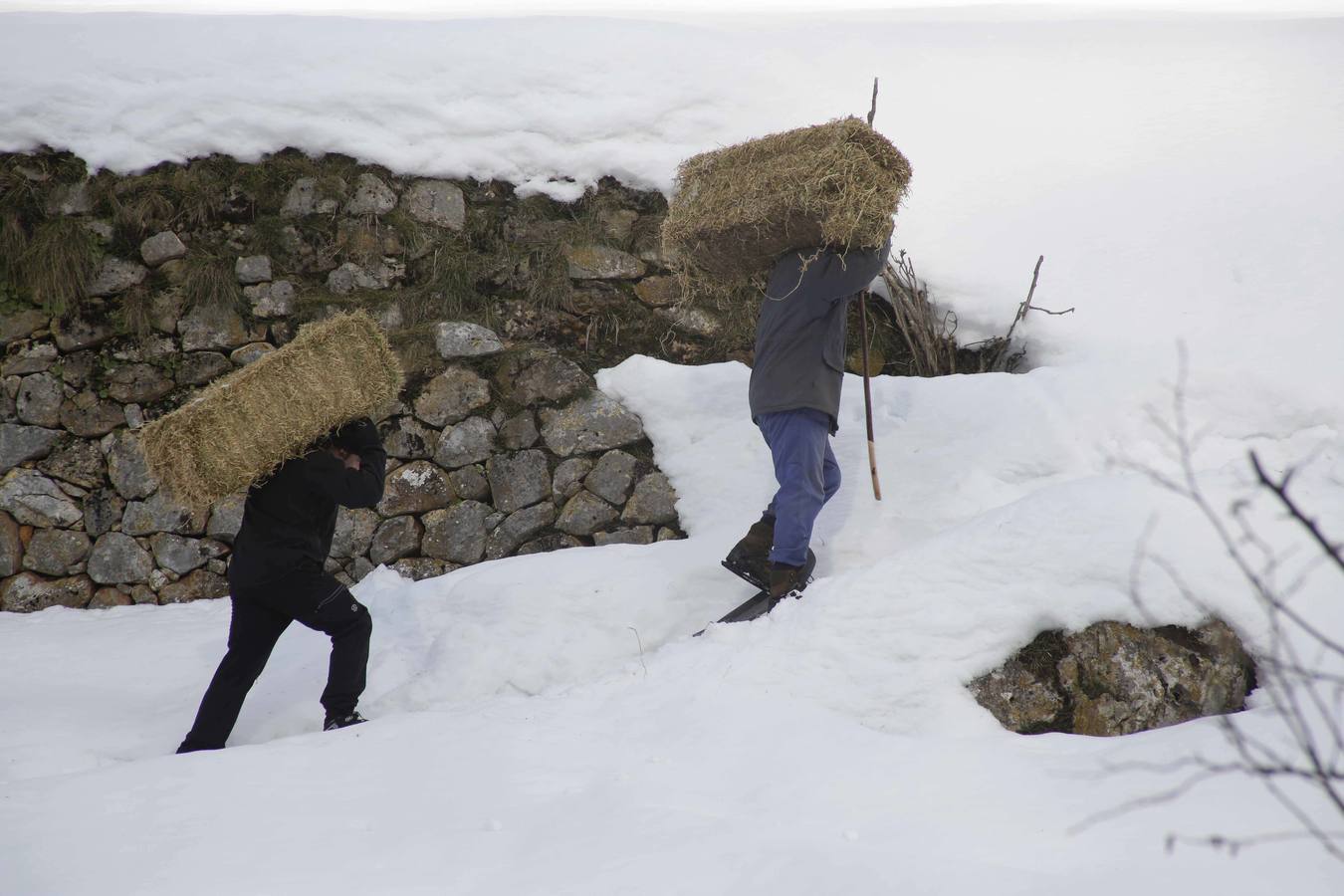 La dura vida en la nieve