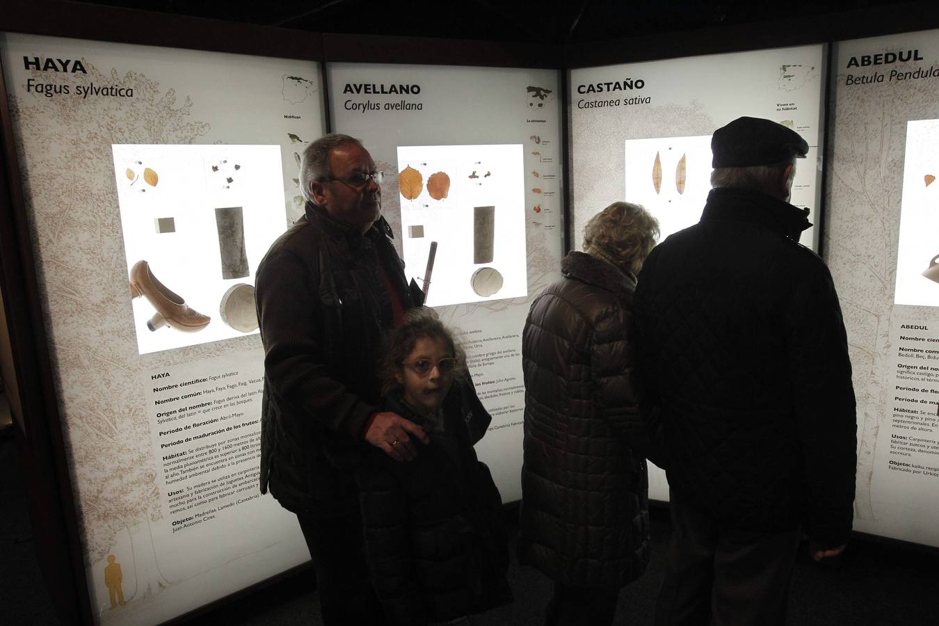 La Caixa ofrece un recorrido por el bosque en la losa de Oviedo