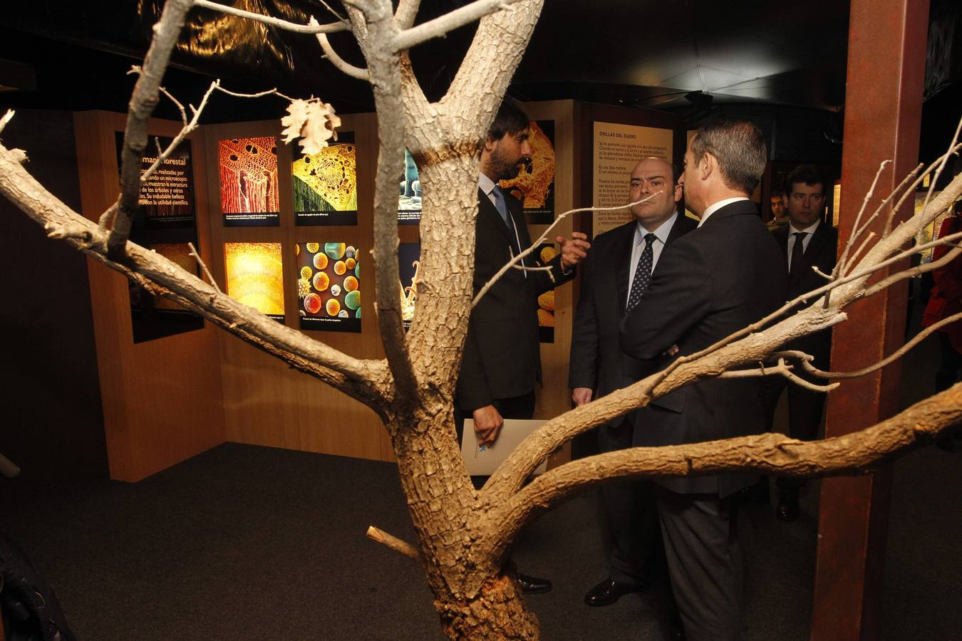 La Caixa ofrece un recorrido por el bosque en la losa de Oviedo