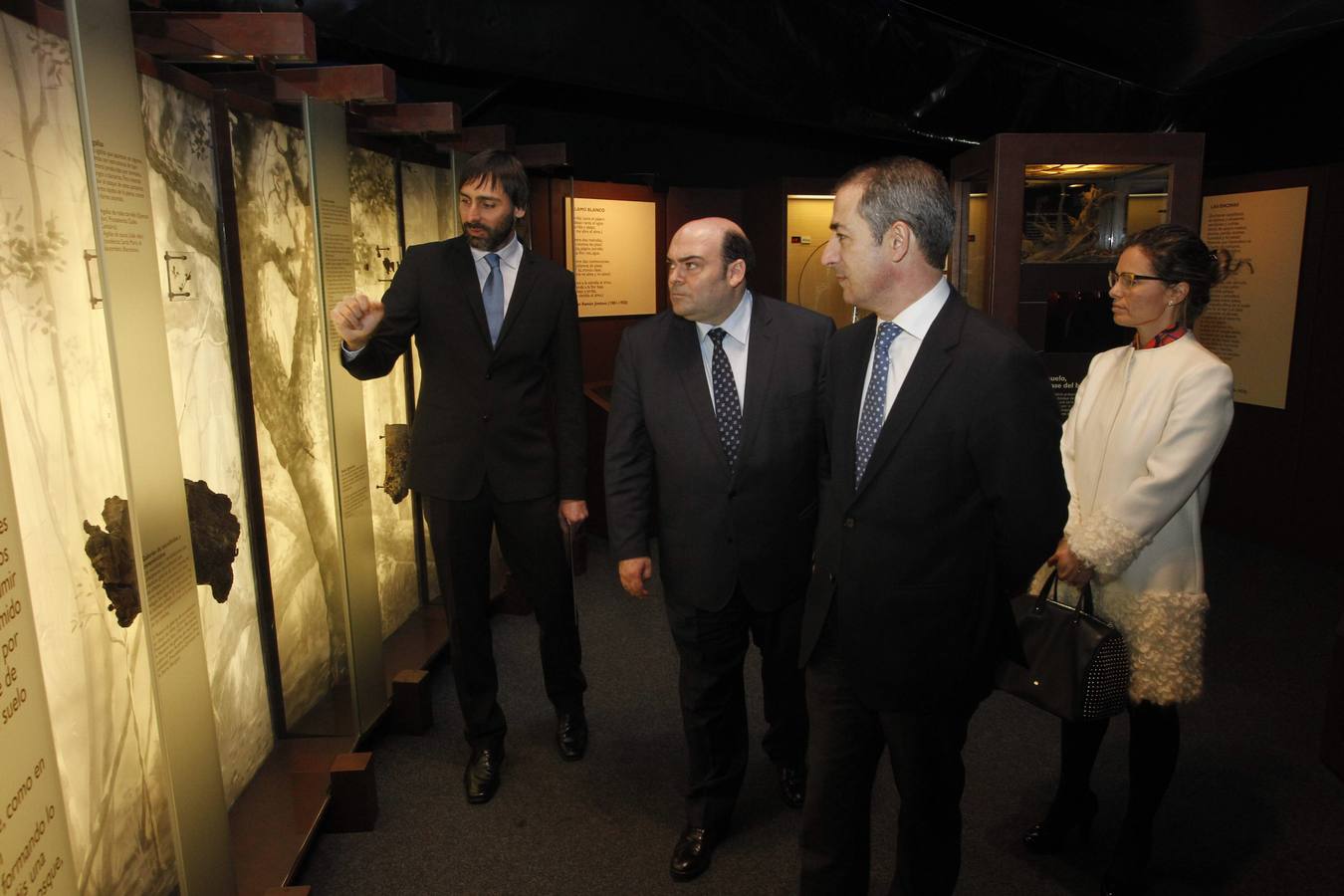 La Caixa ofrece un recorrido por el bosque en la losa de Oviedo