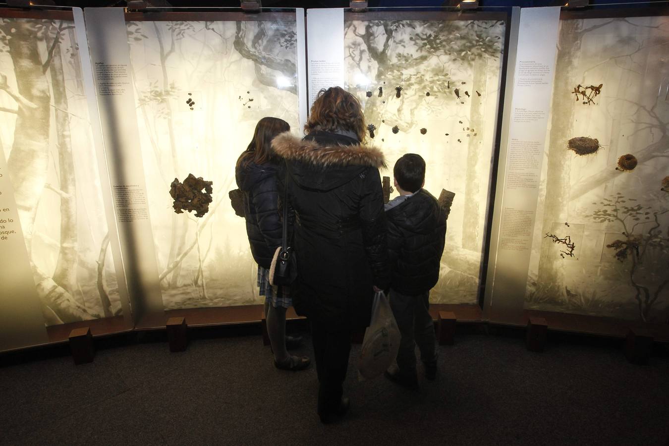 La Caixa ofrece un recorrido por el bosque en la losa de Oviedo