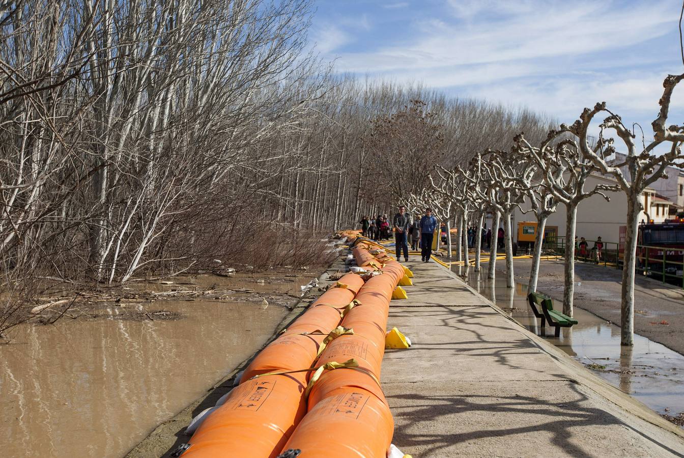 Las motas de contención están aguantado el caudal del Ebro y la noche ha transcurrido en los pueblos de la ribera zaragozana "sin sobresaltos", según ha manifestado el consejero de Agricultura y Medio Ambiente, Modesto Lobón.