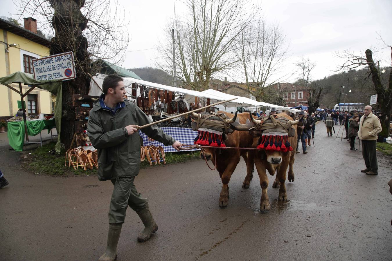 Corao acogió su tradicional feria de marzo con presencia de unas 1.300 cabezas de ganado