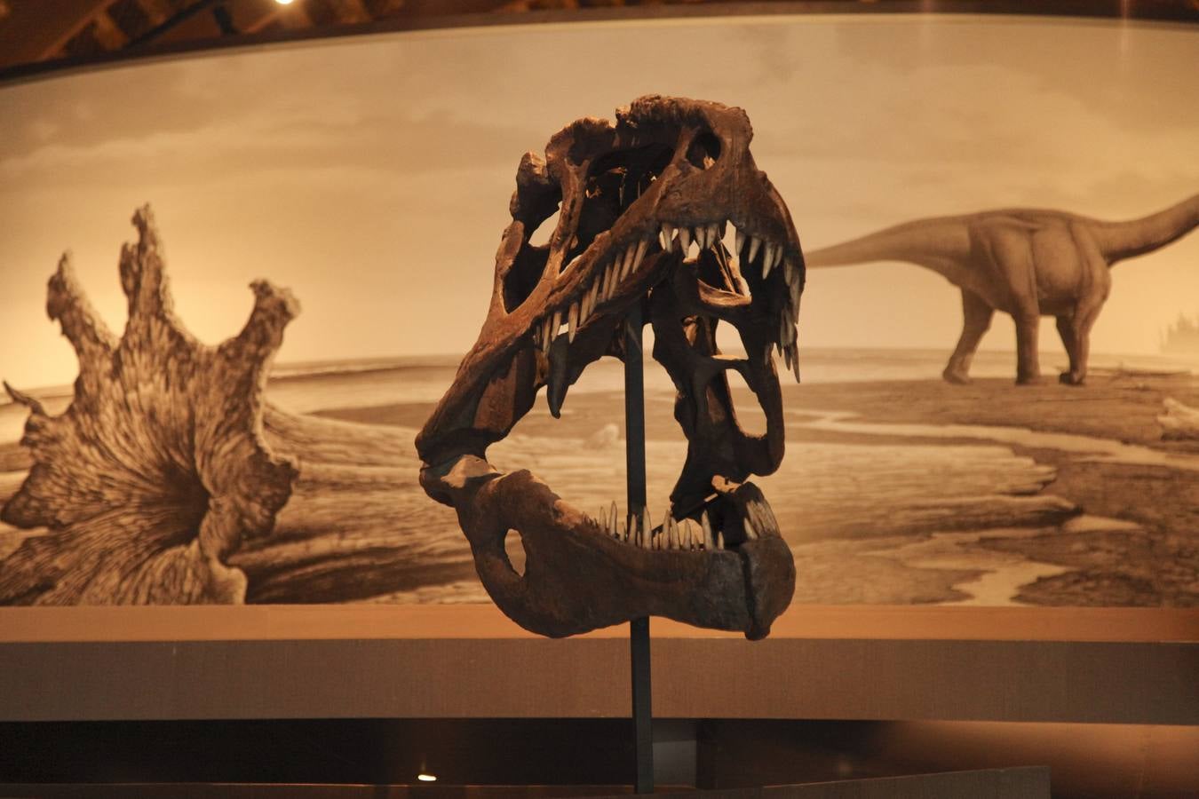 Jornada escolar en el MUJA