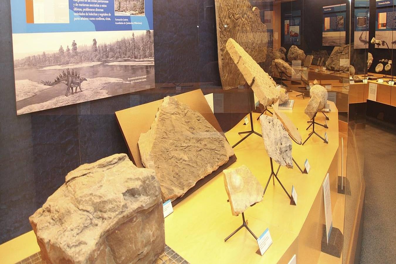 Jornada escolar en el MUJA