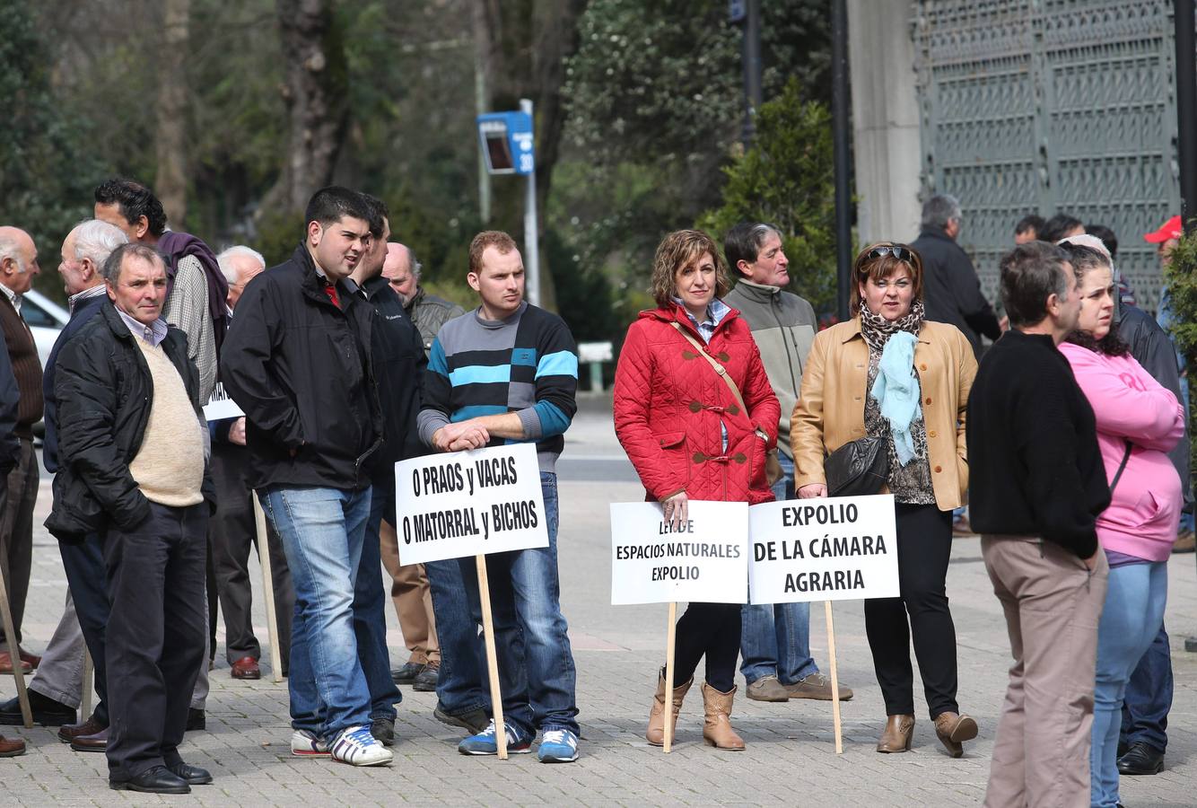 Los ganaderos se manifiestan contra las políticas del Principado