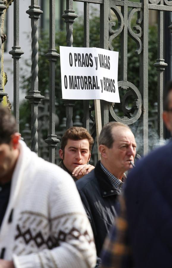 Los ganaderos se manifiestan contra las políticas del Principado