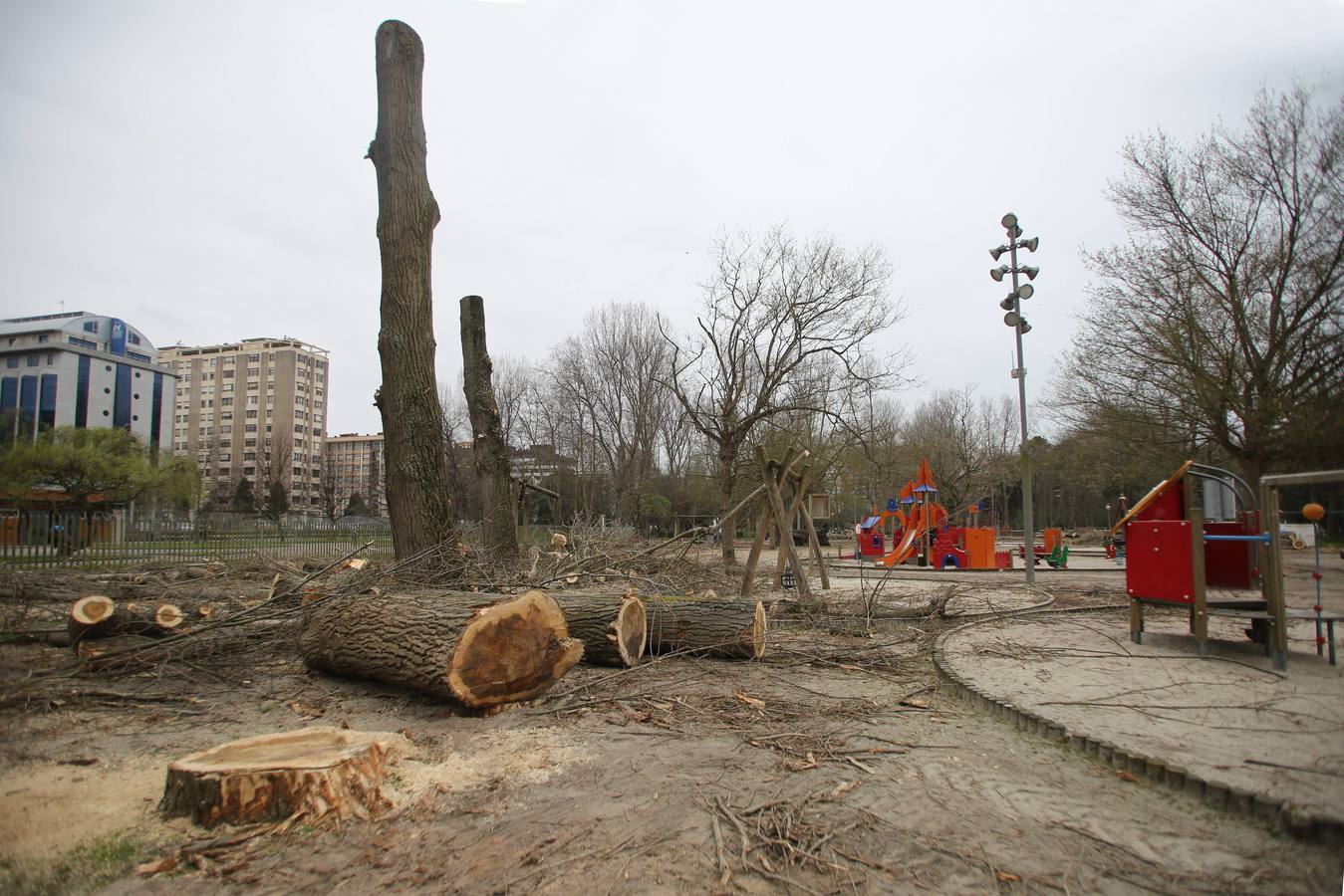 Tala de árboles en el parque de Isabel La Católica