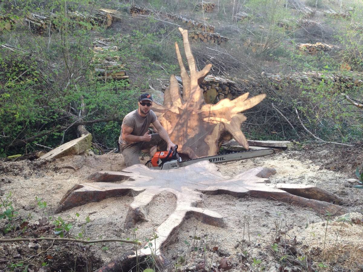 Radek Golebiewski hace impresionantes esculturas con los árboles que poda y tala