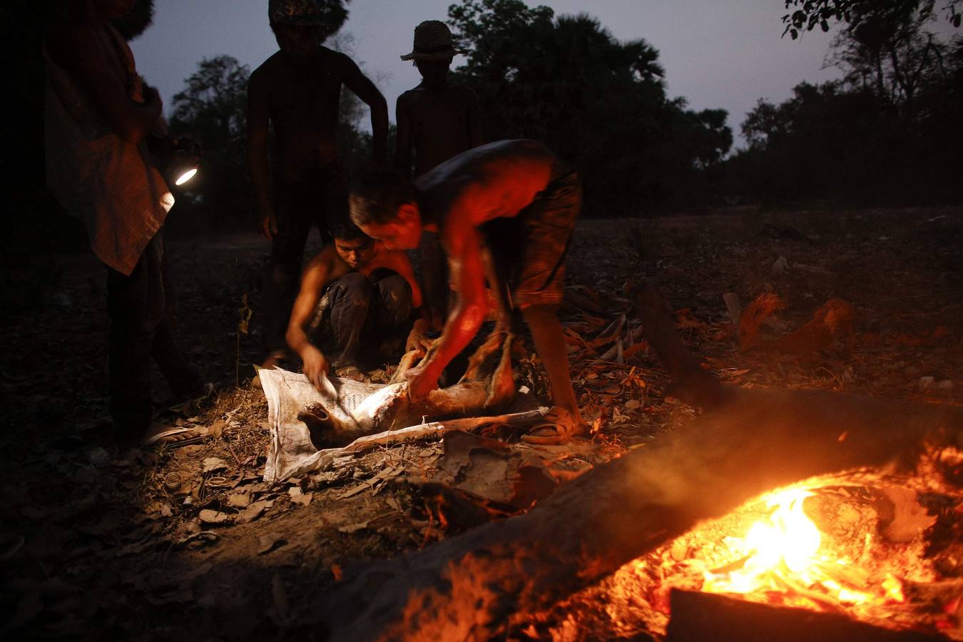 Viviendo en la basura
